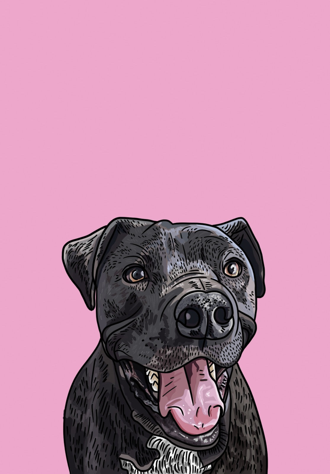 Ilustración detallada